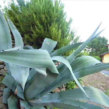 Lakeside Relais Casa de Férias